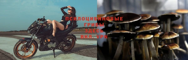 экстази Арсеньев