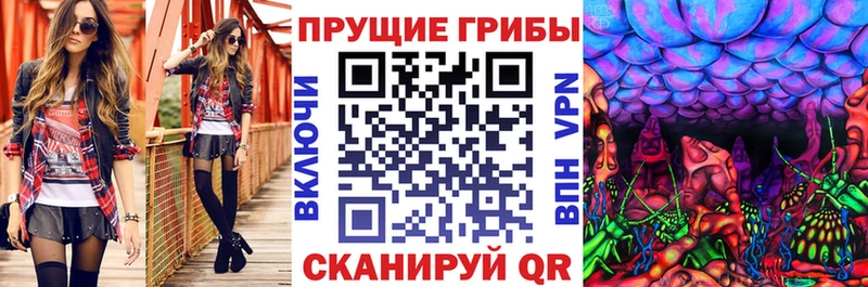 Псилоцибиновые грибы Psilocybe  как найти закладки  KRAKEN ONION  Талдом 